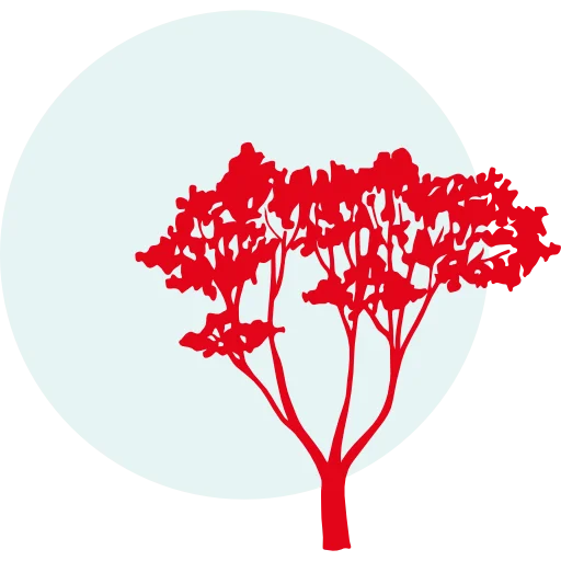 Kaiserwald_FavIcon